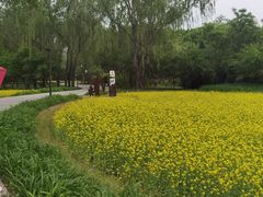 -北坞公园