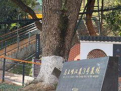 -马王堆汉墓遗址