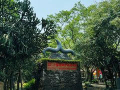 -海口火山口国家地质公园