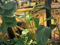 -椰夫人·养生椰子鸡(金沙洲永旺店)