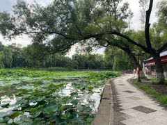 -北陵公园
