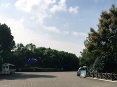 -上海海湾国家森林公园