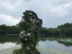 -西湖外事游船(花港观鱼码头)