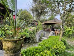 -青城甲(青城山店)