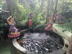 -呀路古热带植物园