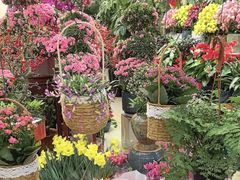 -双季花艺园艺市场(浦东店)
