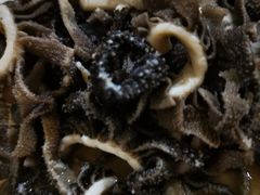 -老爆肚满五香烧牛羊肉