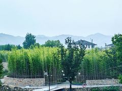 -莫干山风景区