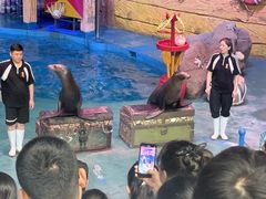 -烟台海昌鲸鲨海洋公园