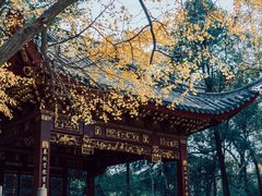 -汇龙潭