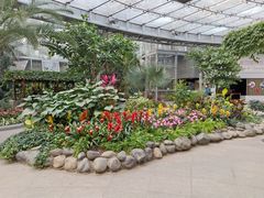 -北京植物园-展览温室