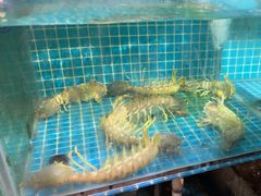 -三妹小龙虾·黄油蟹(华侨城总店)