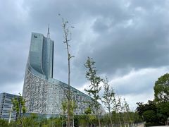 -天鹅湖体育公园