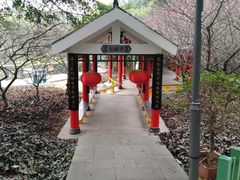 -金鸡山公园