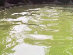 -花水湾第一村温泉大酒店