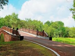 -黄海国家森林公园