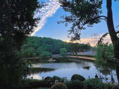 -北岭山森林公园