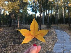 -中家鑫园温泉酒店鑫悦汤泉