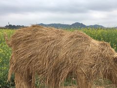 -光明小镇欢乐田园