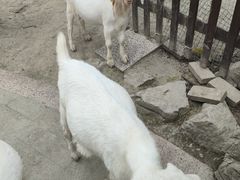 -洪湖家庭农场·团建·露营·会议