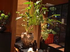 -泰·菩提树下[泰式按摩x精油SPAx肩颈头疗](新景店)