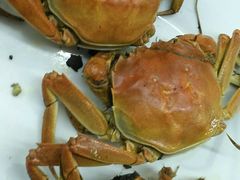 -龙溪海鲜酒家(溪涌店)