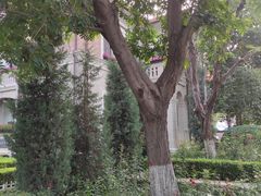 -天津意大利风情旅游区