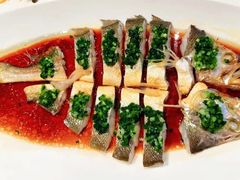 -西郊5号·Maggie 5