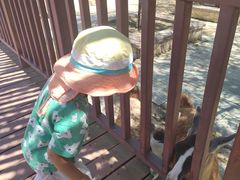 -鄂尔多斯野生动物园