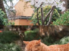 -龙华寺