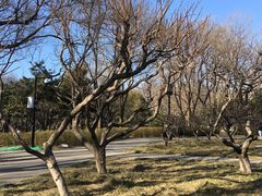 -玲珑塔公园