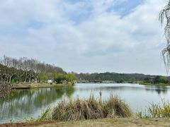 -宜兴龙背山森林公园