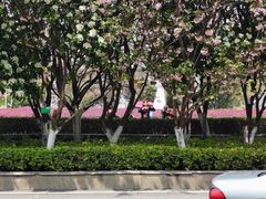 -过桥米线(十五亩地小区店)