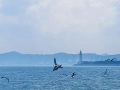 -悦海公园