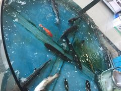 -屯靠屯地锅王(西南路店)