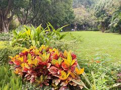 -深圳国际园林花卉博览园