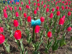 -长春公园(普阳街道)