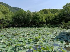 -兰亭风景区