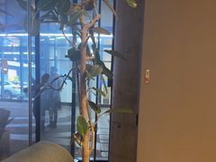 -Wagas沃歌斯(合生汇店)