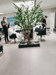 点击看大图 -付军剪艺JF ProSalon