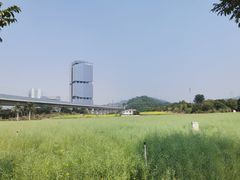 -光明小镇欢乐田园