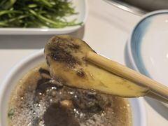 -爱膳菌锅锅(阳南店)