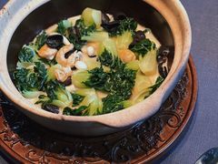 -子福慧(虹桥店)