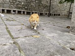 -北京凤凰岭