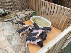 -HERRE·FARM 赫尔露营农场·团建聚会包场