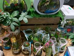 -酷乐潮玩(城西银泰城店)