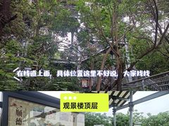 -佛山华盖山公园