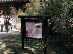 -红楼梦邮局