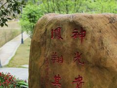 -神光山国家森林公园