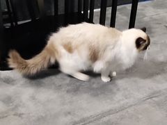 -零纪元VR体验馆·桌游(黄浦店)